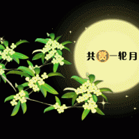 奧邦|遙望月將圓,顧家正當時