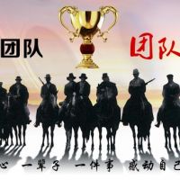 團(tuán)隊(duì):助力騰飛的力量源泉